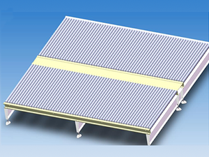 Chain Conveyor